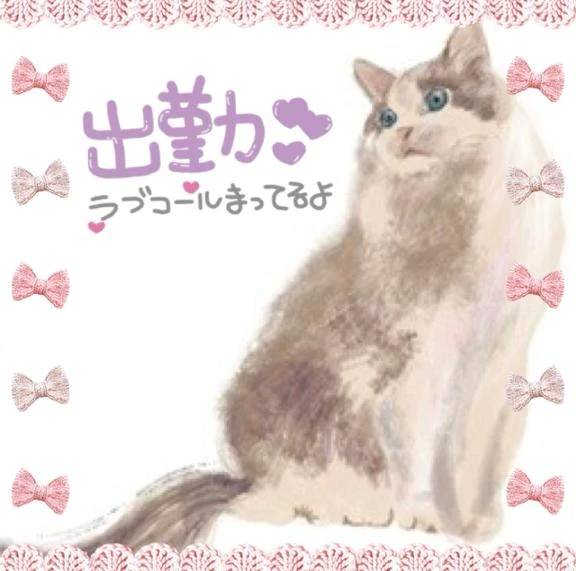 ちょっと久々の🌷