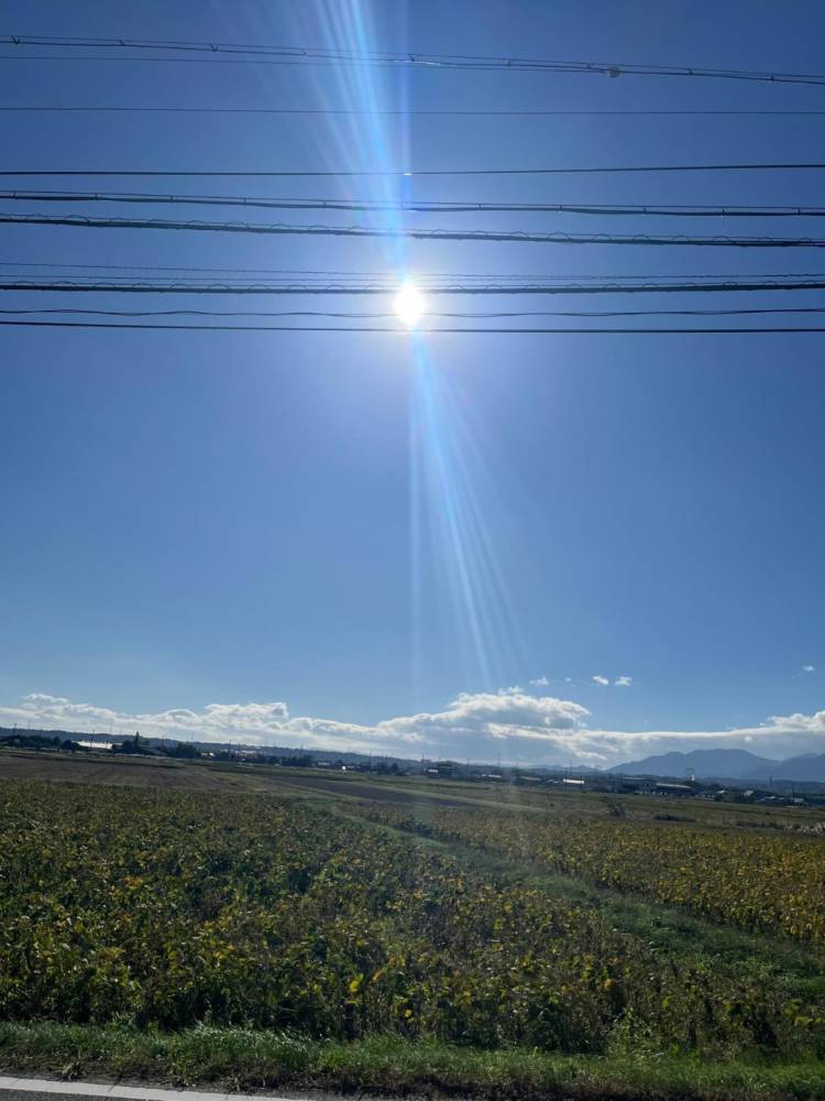 田舎に泊まろう