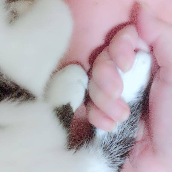 [お題]from:香ばしいのさん