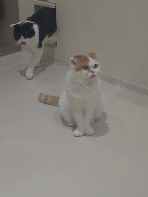 こんにちわ