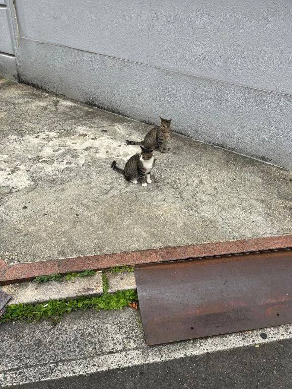 ありがとう❤️