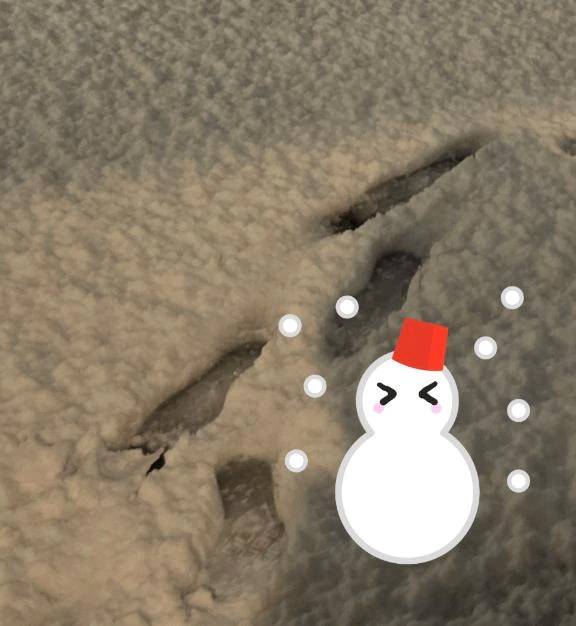 🚗事故しちゃいました...