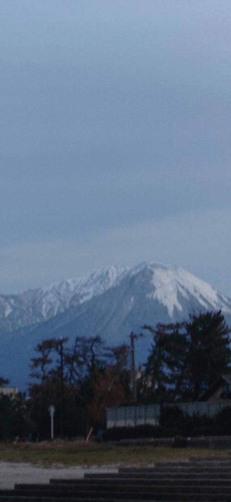 お久しぶりです