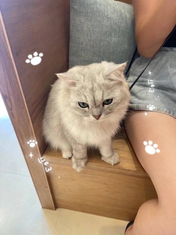 ‎ꧦ𐅁𐀸𐋠𛰙᭜𖫴𖫰𖫱𖫳𖫲𖫲𖫳𖫴𖫰𖫱꛰ﯩᩝ︪᭜𖫴𖫰𖫱𖫳𖫲𖫲𖫳𖫴𖫰𖫱꛰ީᩝ𛰚