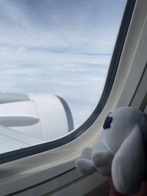 🐰旅行記