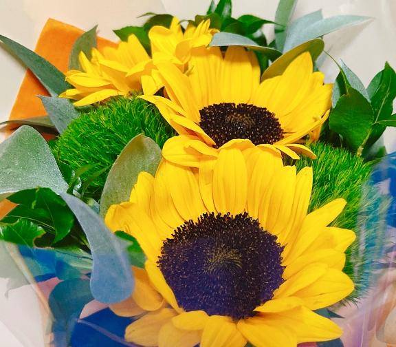 ご無沙汰しております🌻
