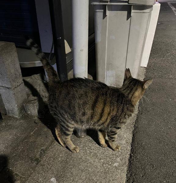 出勤✨