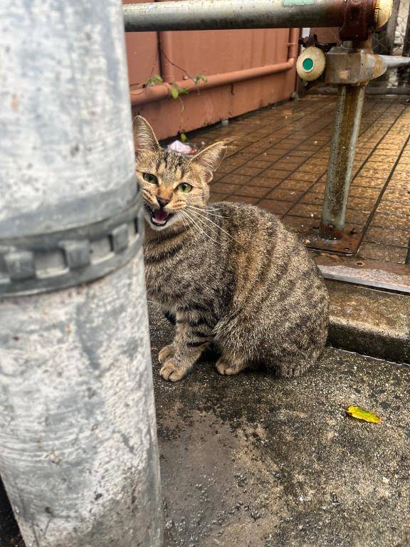 台風消えました🌪️