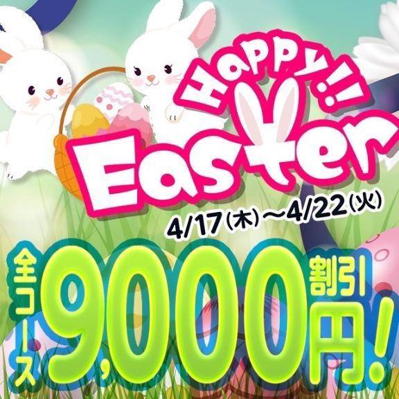🐰⸝꙳*