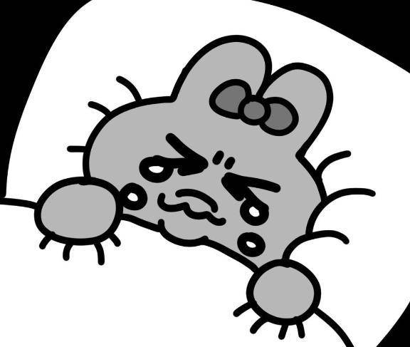 🙇‍♀️お休みします🙇‍♀️