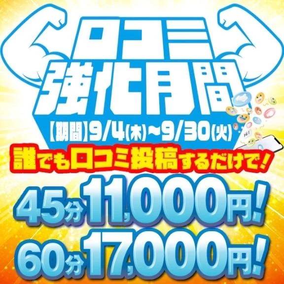 選び放題だよ⁉️