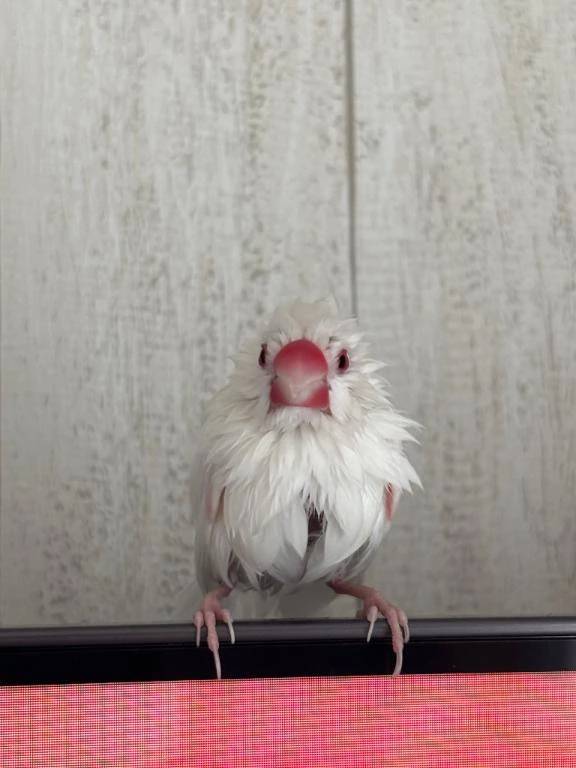 本日最初の本指名様へ🙇‍♀️