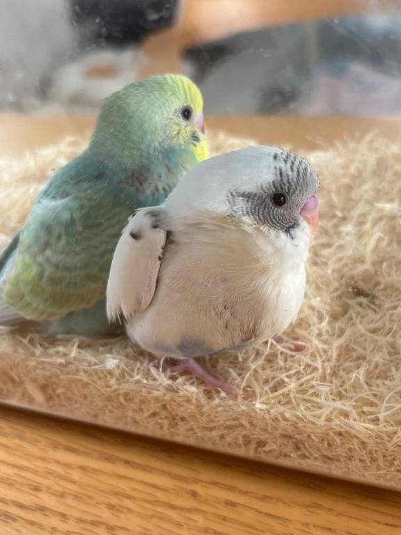 ドエロ出勤予定です☺️💕✨