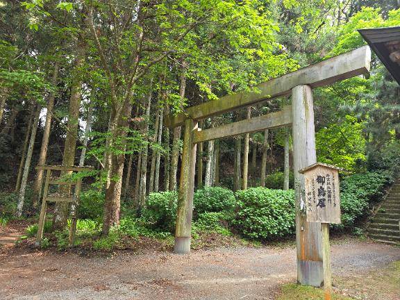 本日17:00～21:00出勤してます?
