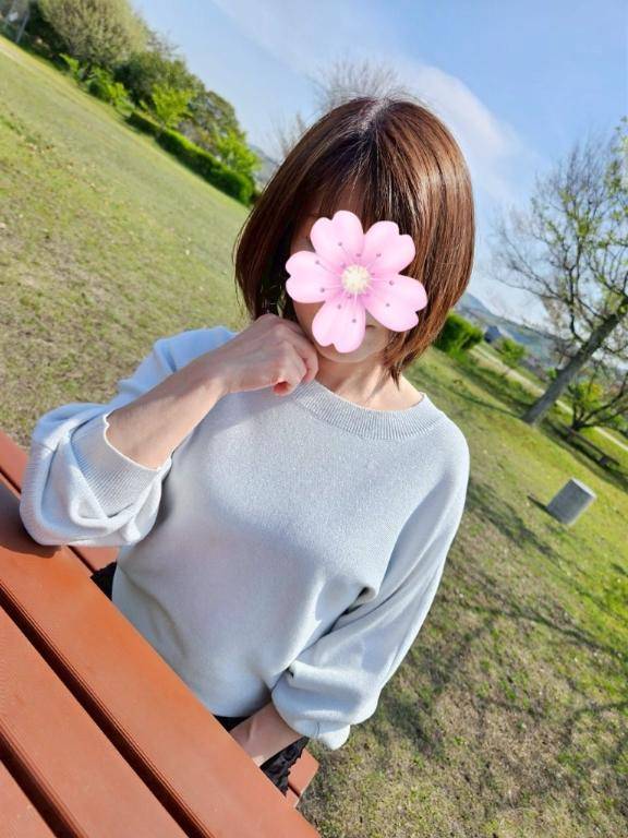 ドレミ302様