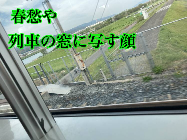 １６時半の電車で帰阪ちゅうε＝┏(?ω?)┛