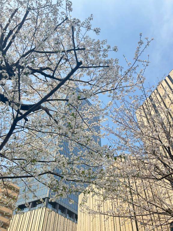 4月21.22出勤します?
