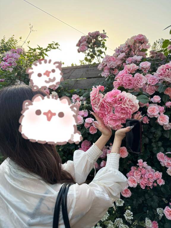 いと