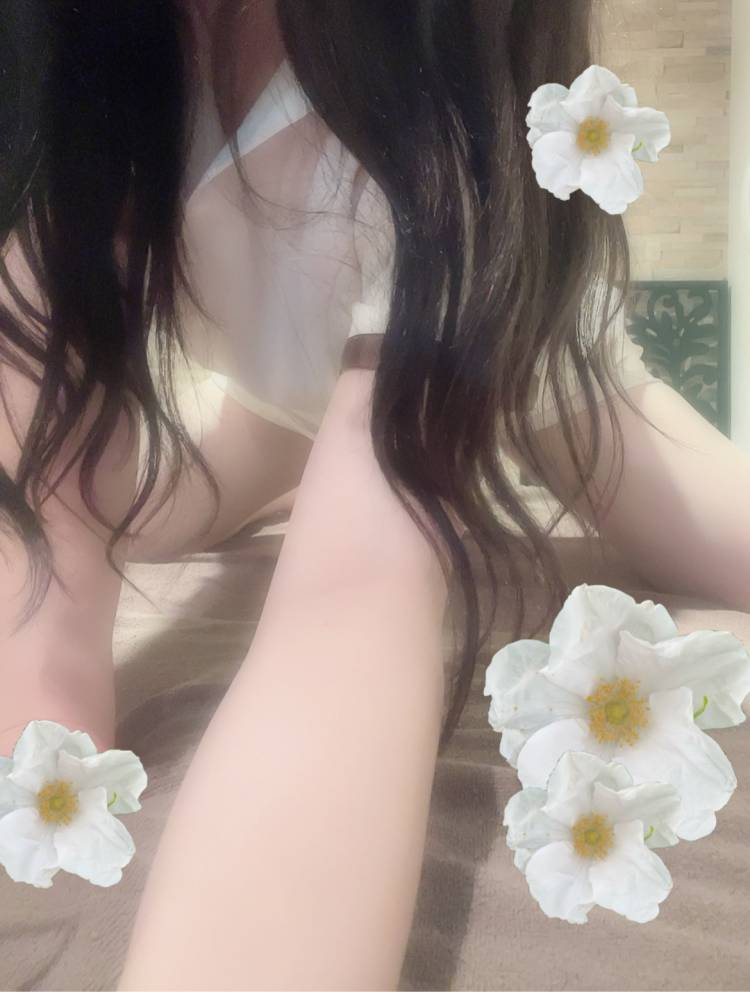 来たよっ