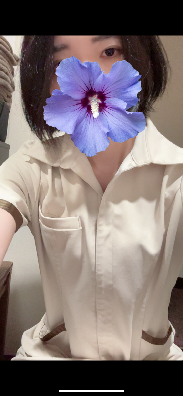 出勤しました