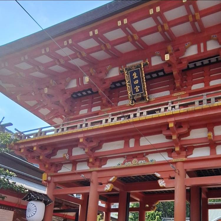 ⛩️✨