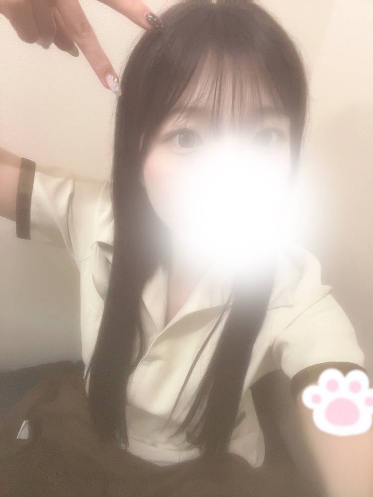 出勤🐱
