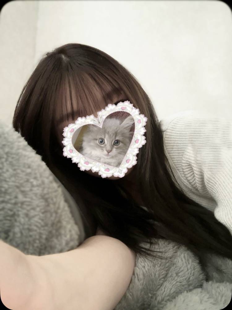 出勤するよん