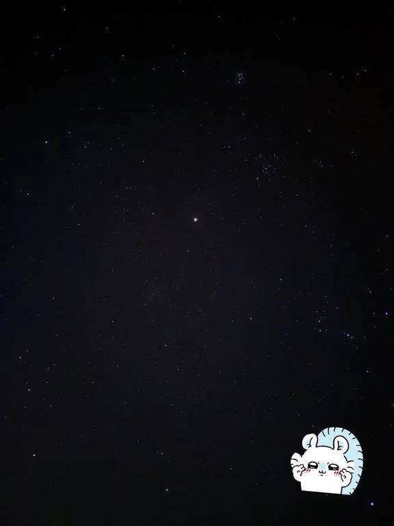 ジャパンさん???