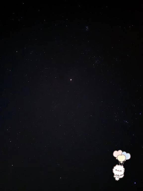 パティオさん???