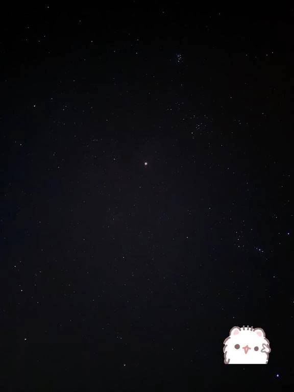 ベーネさん???