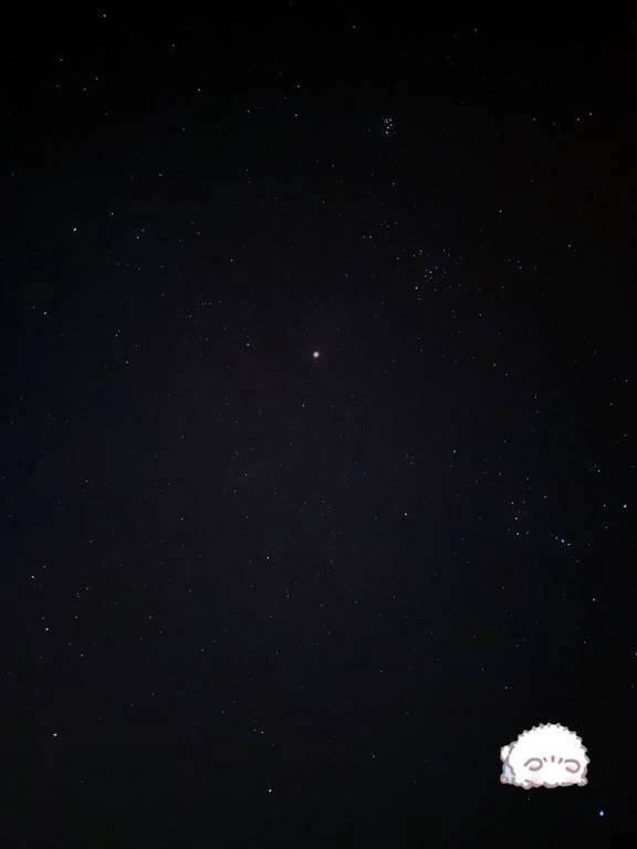 パティオさん???