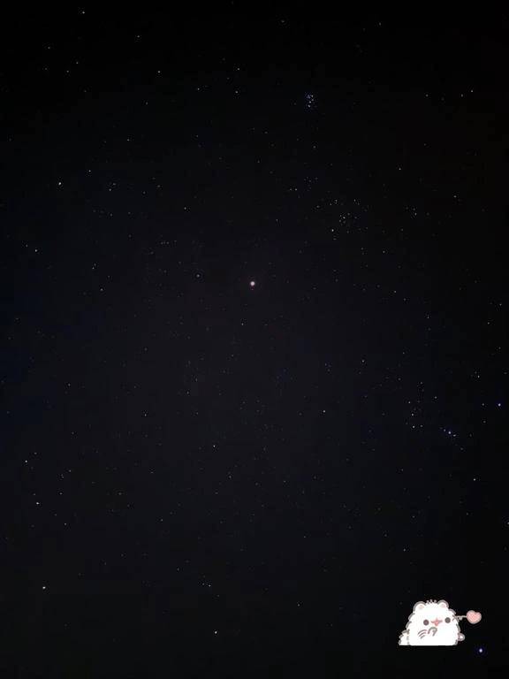タイヨーさん???