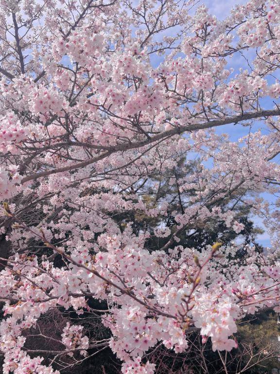 ????????????? ??????????????