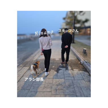アラシ部長のお散歩をしながら真面目に談義したの🐕