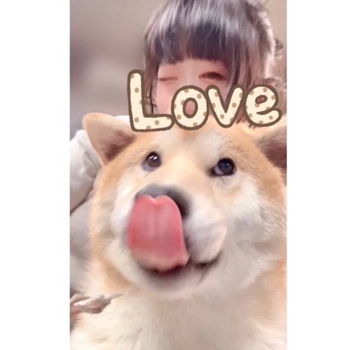 あらしくん鼻ペロかわよき