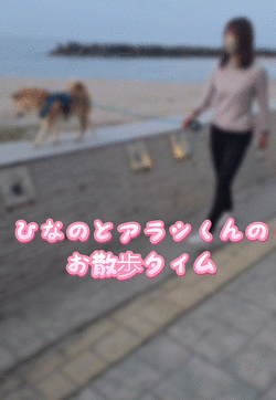 ひなのとアラシくんのお散歩タイム🐕