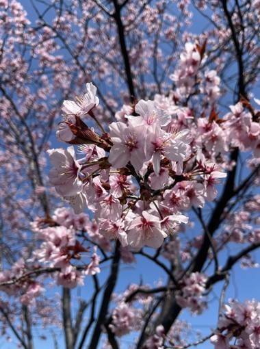 🌸4月…ありがとう❤️