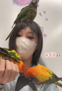 猫吸い犬吸い…そして鳥吸い‼️