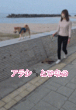 アラシ🐕とひなの🫧