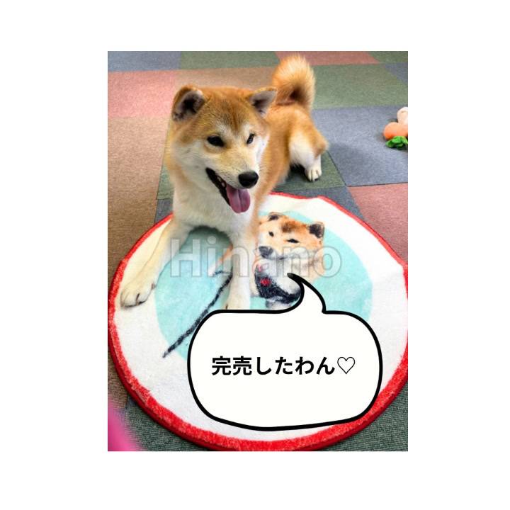 🌺完売しました🌺
