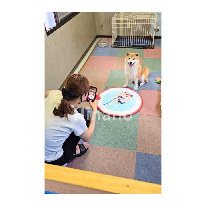 アラシくん🐕とひなの🫧