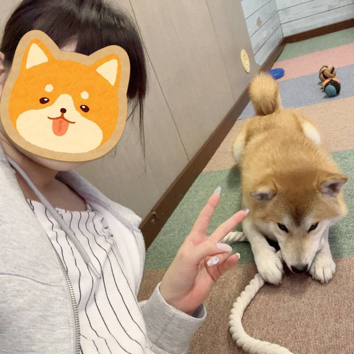 🐕🎶