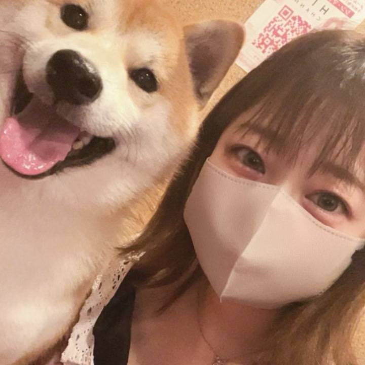 🐶