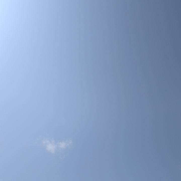 月曜日！