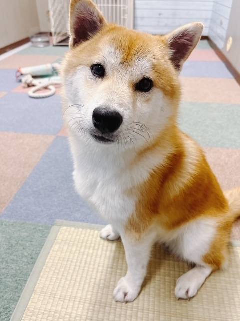 初乙姫宴、ありがとうございました♡