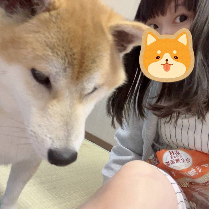 わずか🥹