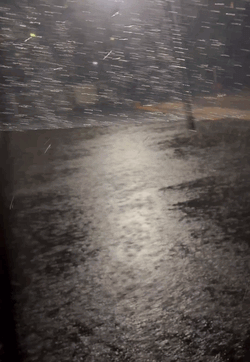 雨！！！☔️☔️☔️