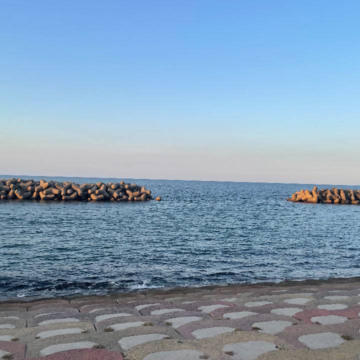 🌊