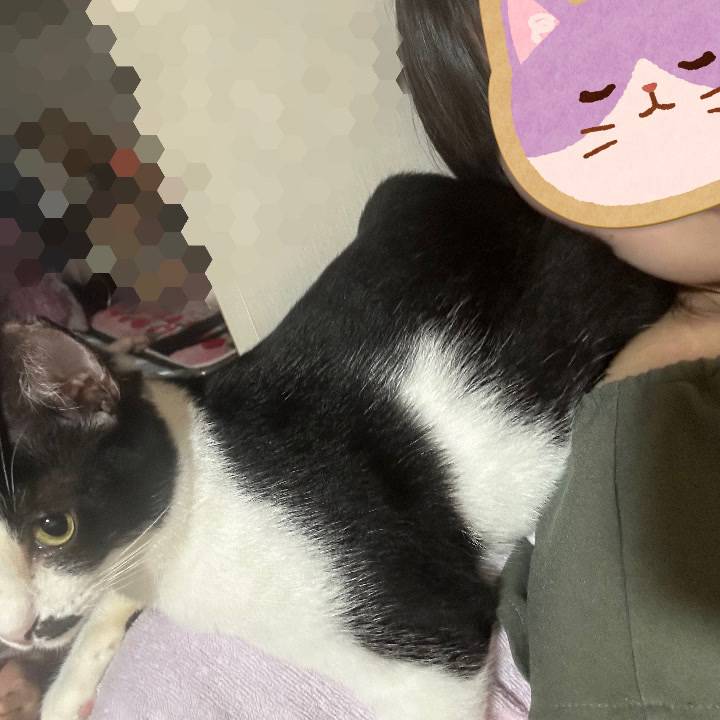 密着❤️