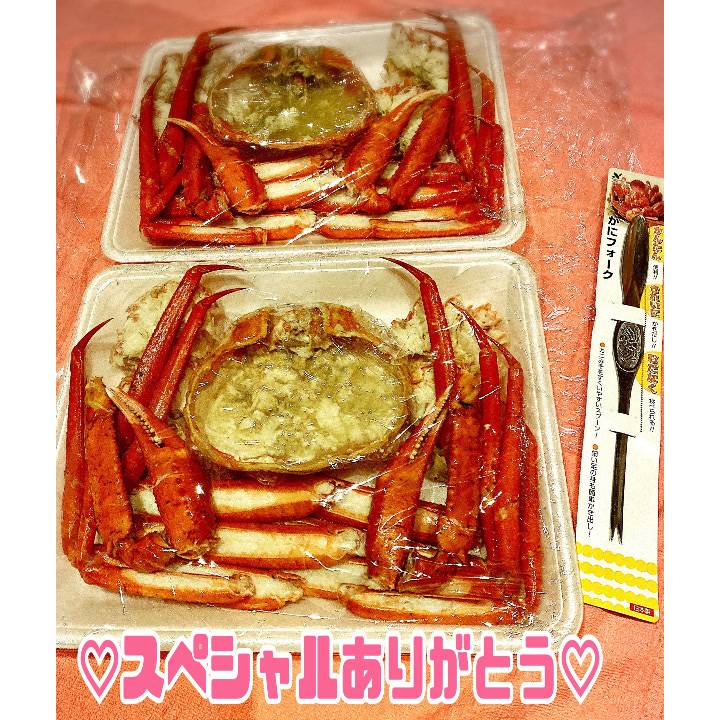 本日もウルトラハイパーありがとうございました🥰